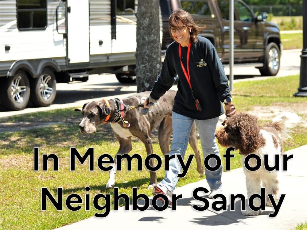 Neighbor Sandy